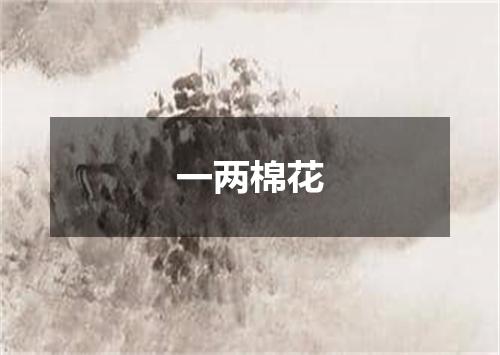 一两棉花