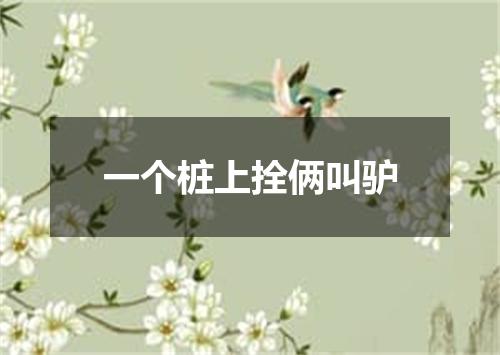 一个桩上拴俩叫驴