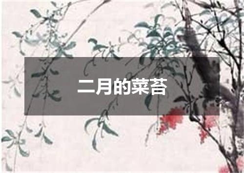 二月的菜苔