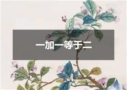 一加一等于二