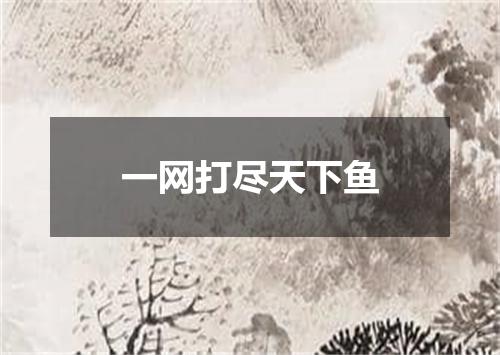 一网打尽天下鱼