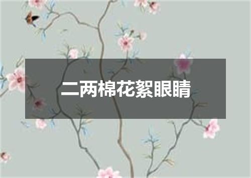二两棉花絮眼睛