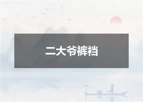 二大爷裤裆