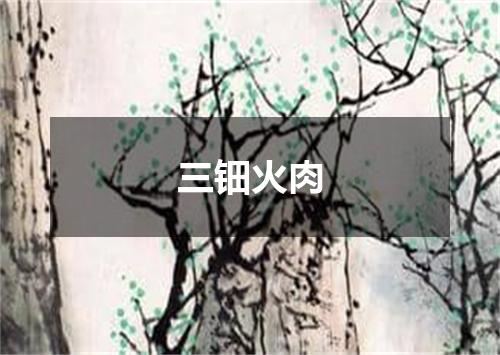 三钿火肉