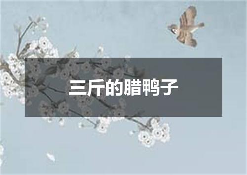 三斤的腊鸭子