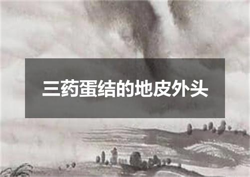 三药蛋结的地皮外头