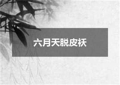 六月天脱皮袄