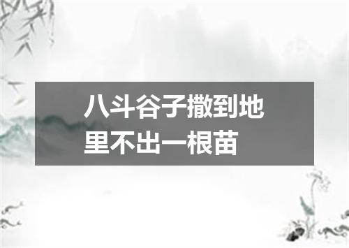 八斗谷子撒到地里不出一根苗
