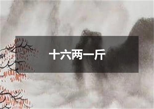 十六两一斤
