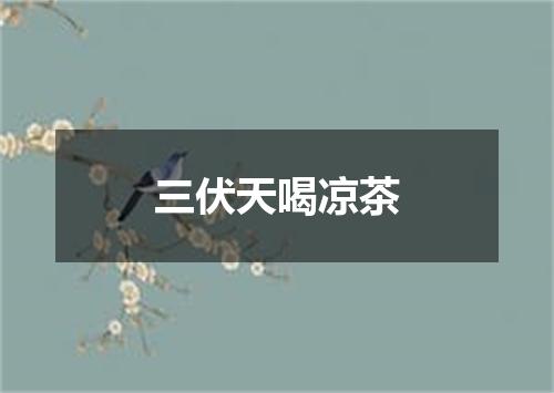 三伏天喝凉茶