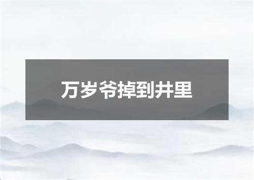 万岁爷掉到井里