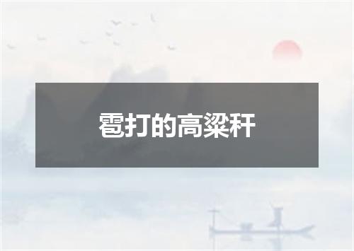 雹打的高粱秆