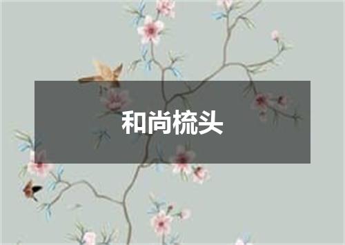 和尚梳头