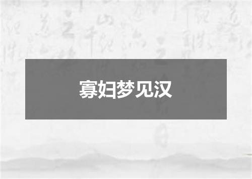 寡妇梦见汉