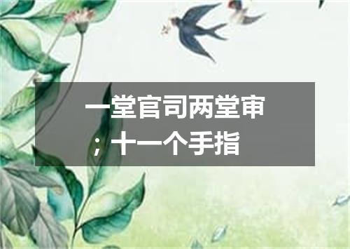 一堂官司两堂审；十一个手指