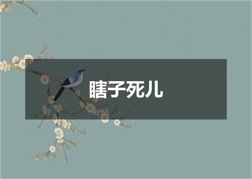 瞎子死儿