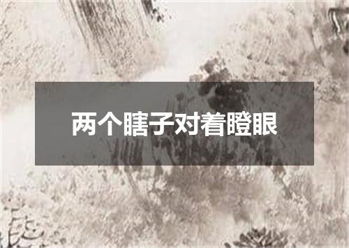 两个瞎子对着瞪眼