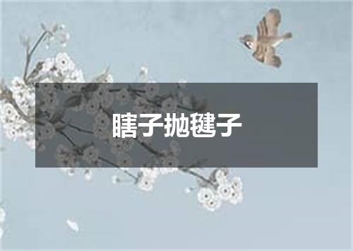 瞎子抛毽子