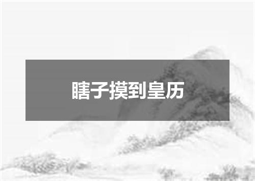 瞎子摸到皇历