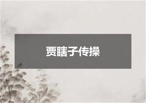 贾瞎子传操