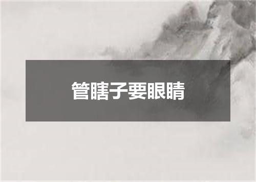 管瞎子要眼睛