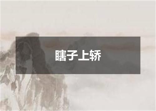 瞎子上轿