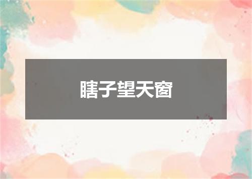 瞎子望天窗