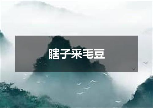 瞎子采毛豆