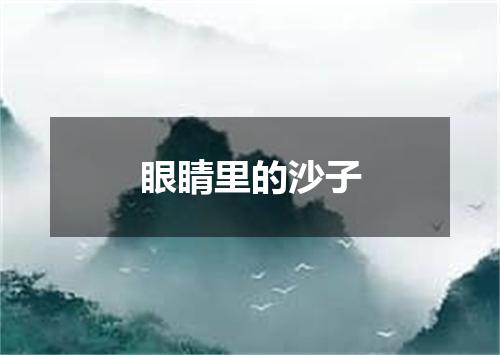 眼睛里的沙子