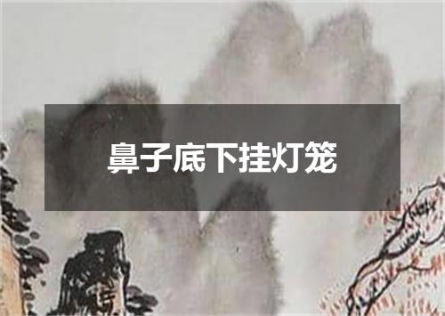 鼻子底下挂灯笼
