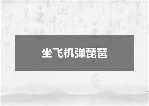 坐飞机弹琵琶