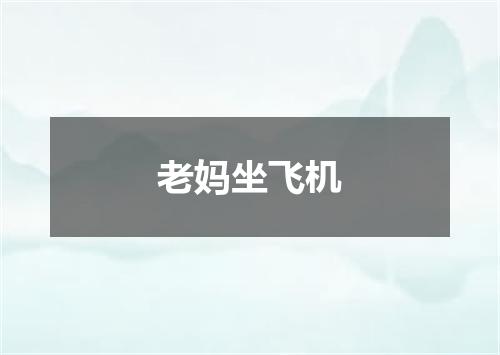 老妈坐飞机
