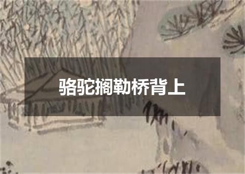 骆驼搁勒桥背上