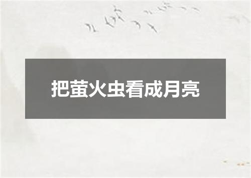 把萤火虫看成月亮