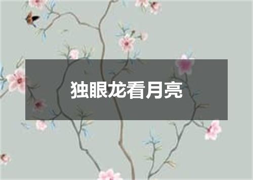 独眼龙看月亮