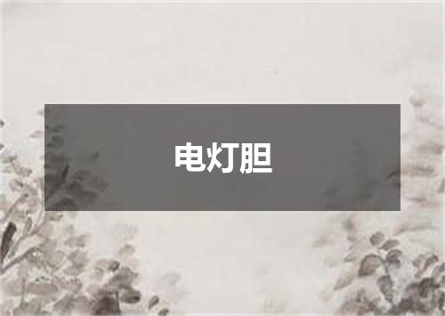 电灯胆