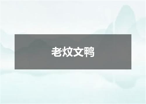 老炆文鸭