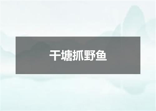 干塘抓野鱼