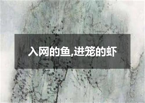 入网的鱼,进笼的虾