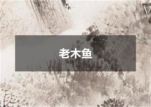 老木鱼