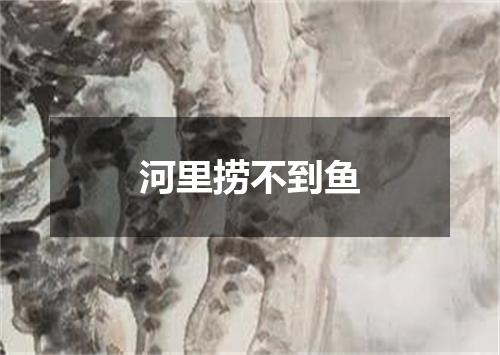 河里捞不到鱼