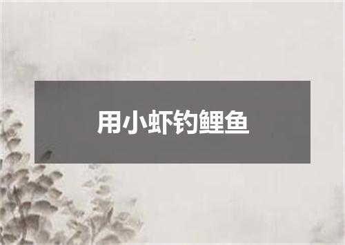 用小虾钓鲤鱼