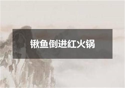 锹鱼倒进红火锅