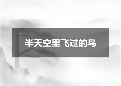半天空里飞过的鸟
