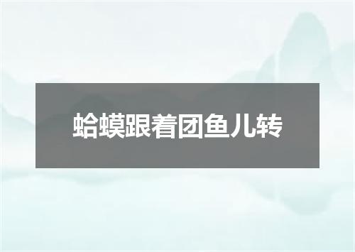 蛤蟆跟着团鱼儿转