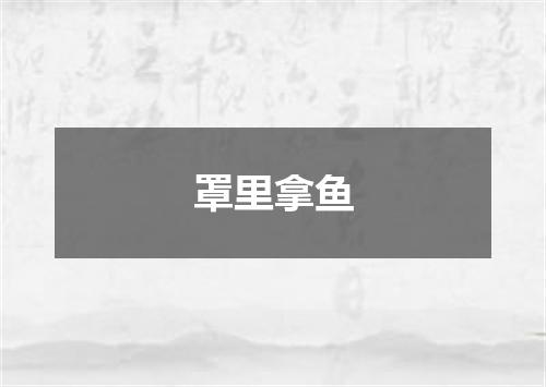 罩里拿鱼