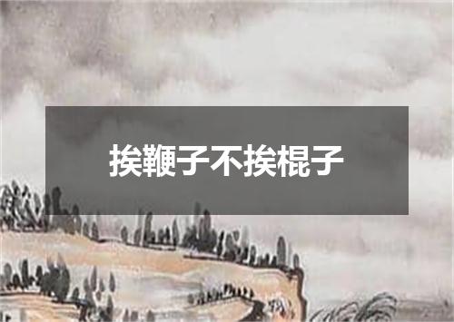 挨鞭子不挨棍子