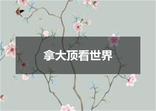 拿大顶看世界
