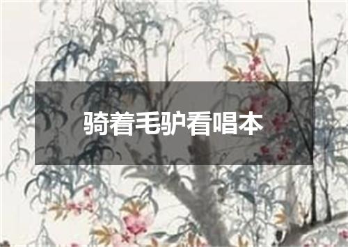 骑着毛驴看唱本