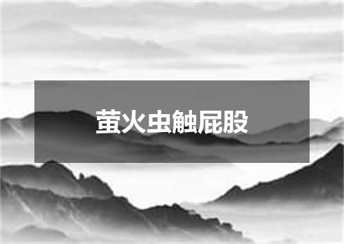萤火虫触屁股